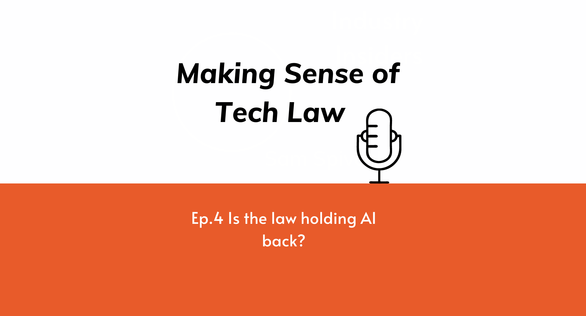 Making Sense of Tech Law Episode 4: Is the law holding AI back?